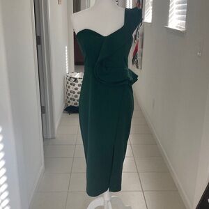 Wish Dark Green Dress